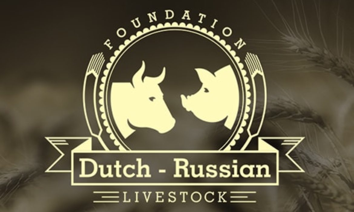 Dutch-Russian Foundation